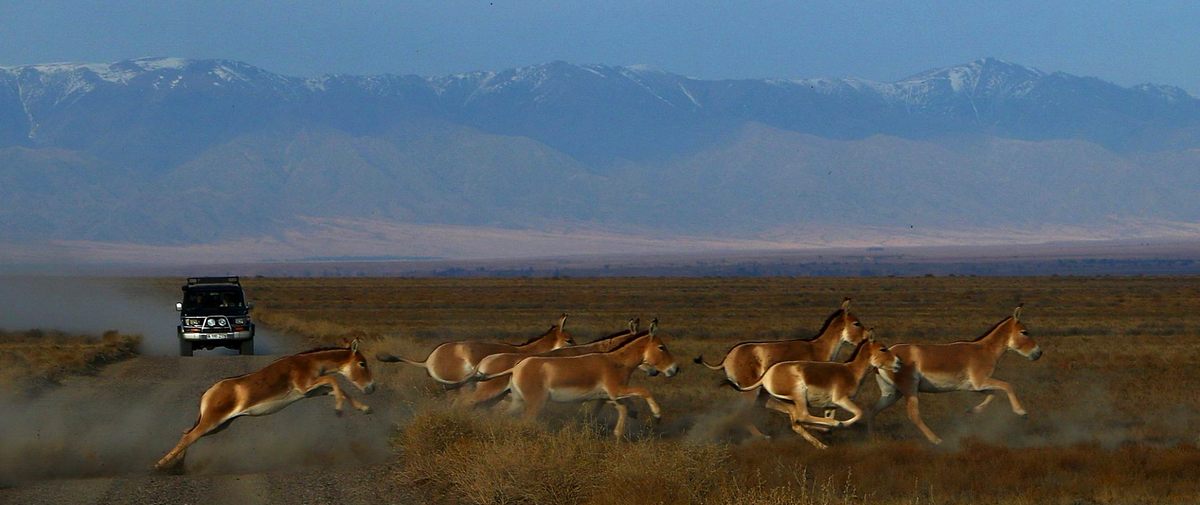 <a href='http://www.morena.kz/foto/allfoto/altyn%20em/ae%20' target='_blank' class='UniversalLink'>http://www.morena.kz/foto/allfoto/altyn%20em/ae%20</a>(4).jpg